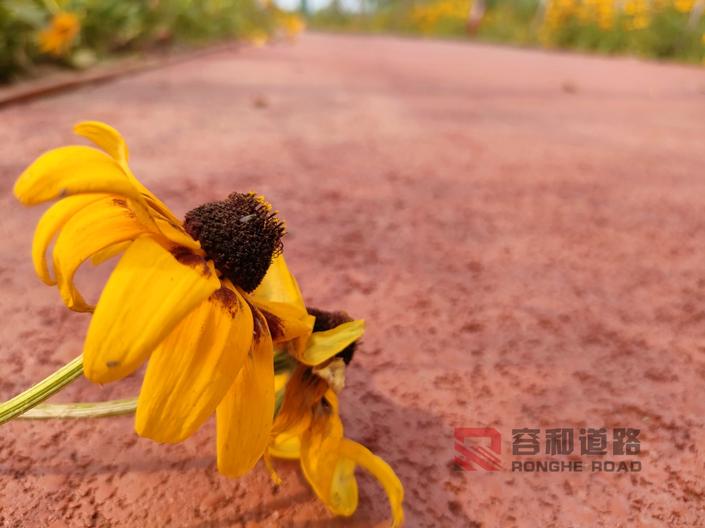 透水混凝土厂家,压印地坪,安斯福妙乐密封固化剂,压花地坪,混凝土固化剂